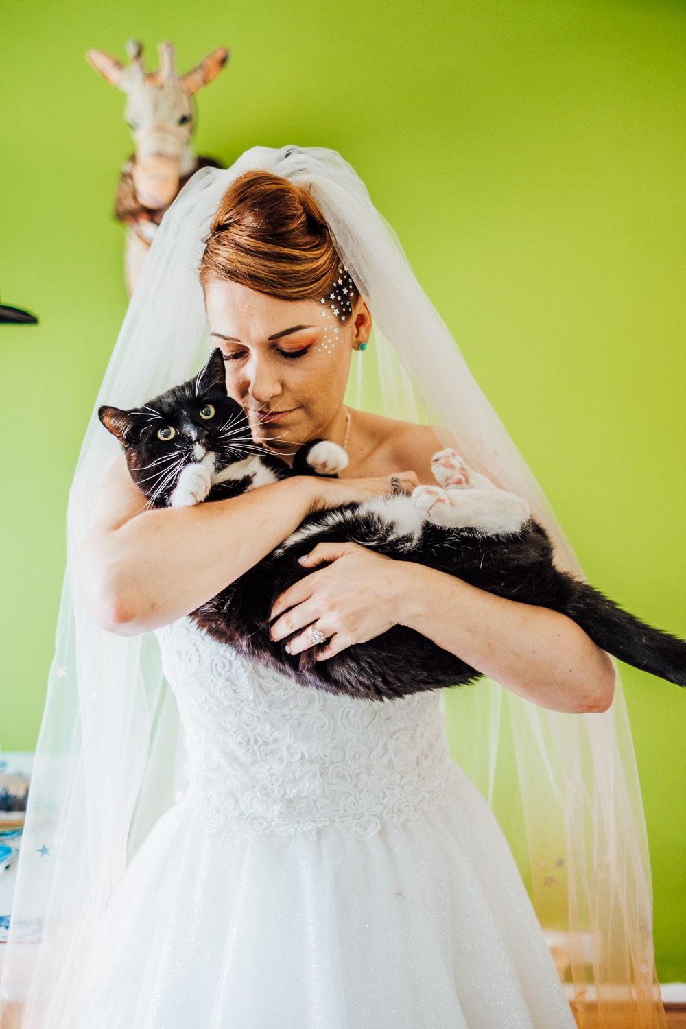 Bride Bridal Cat Pet Big Top Wedding Anna Pumer Photography