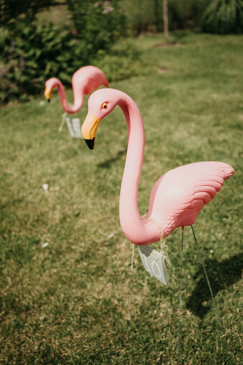 Flamingo Hoopla Celeste Marquee Wedding Sarah Longworth Photography