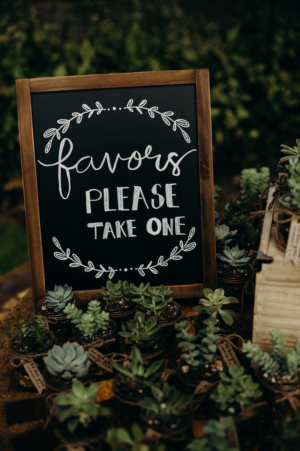 Succulent Favours Orlando Wedding Dani Nichol Photography