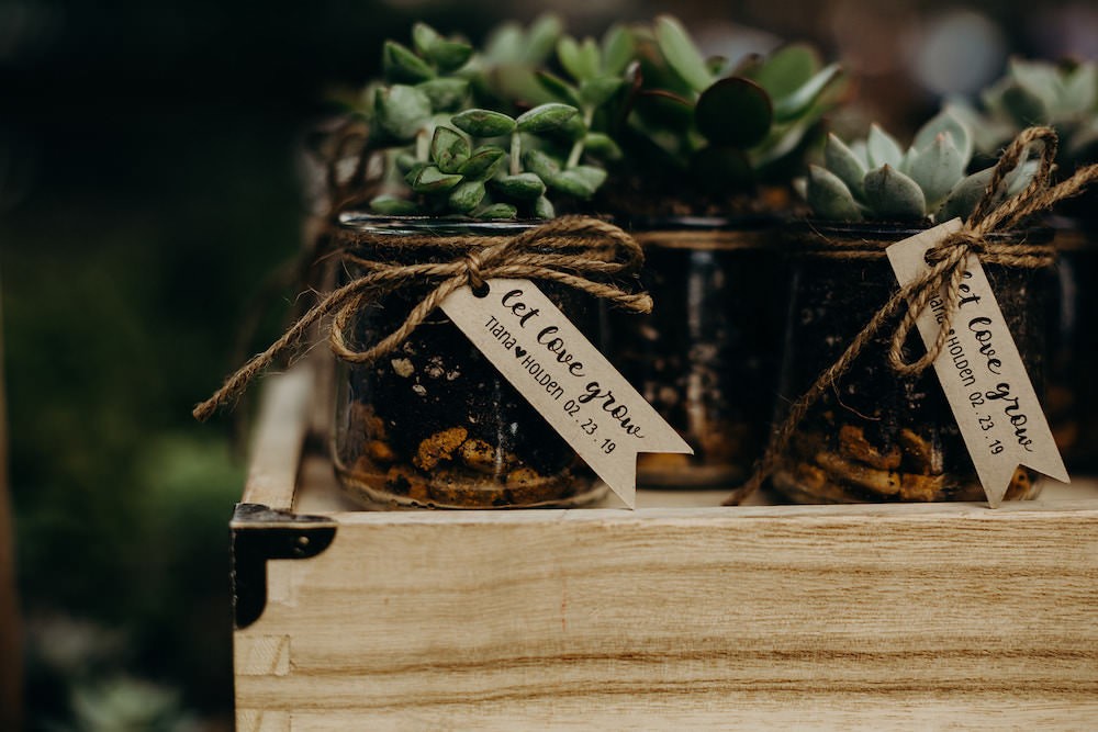 Succulent Favours Orlando Wedding Dani Nichol Photography