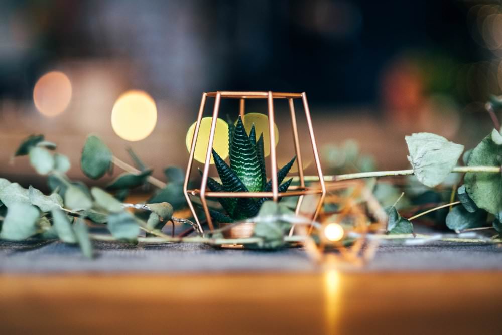 Copper Terrarium Succulent Decor Fairy Lights Greenery Outdoor DIY Wedding Three Flowers Photography