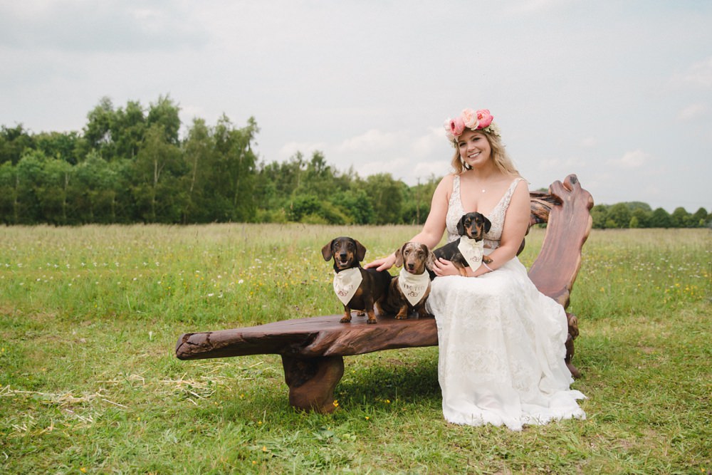 Dogs Bandana Pet Wedding Ideas Vicky Plum Photography
