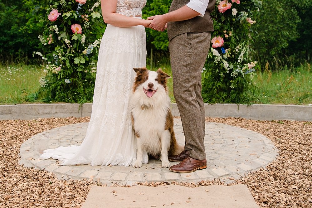 Pet Wedding Ideas Vicky Plum Photography