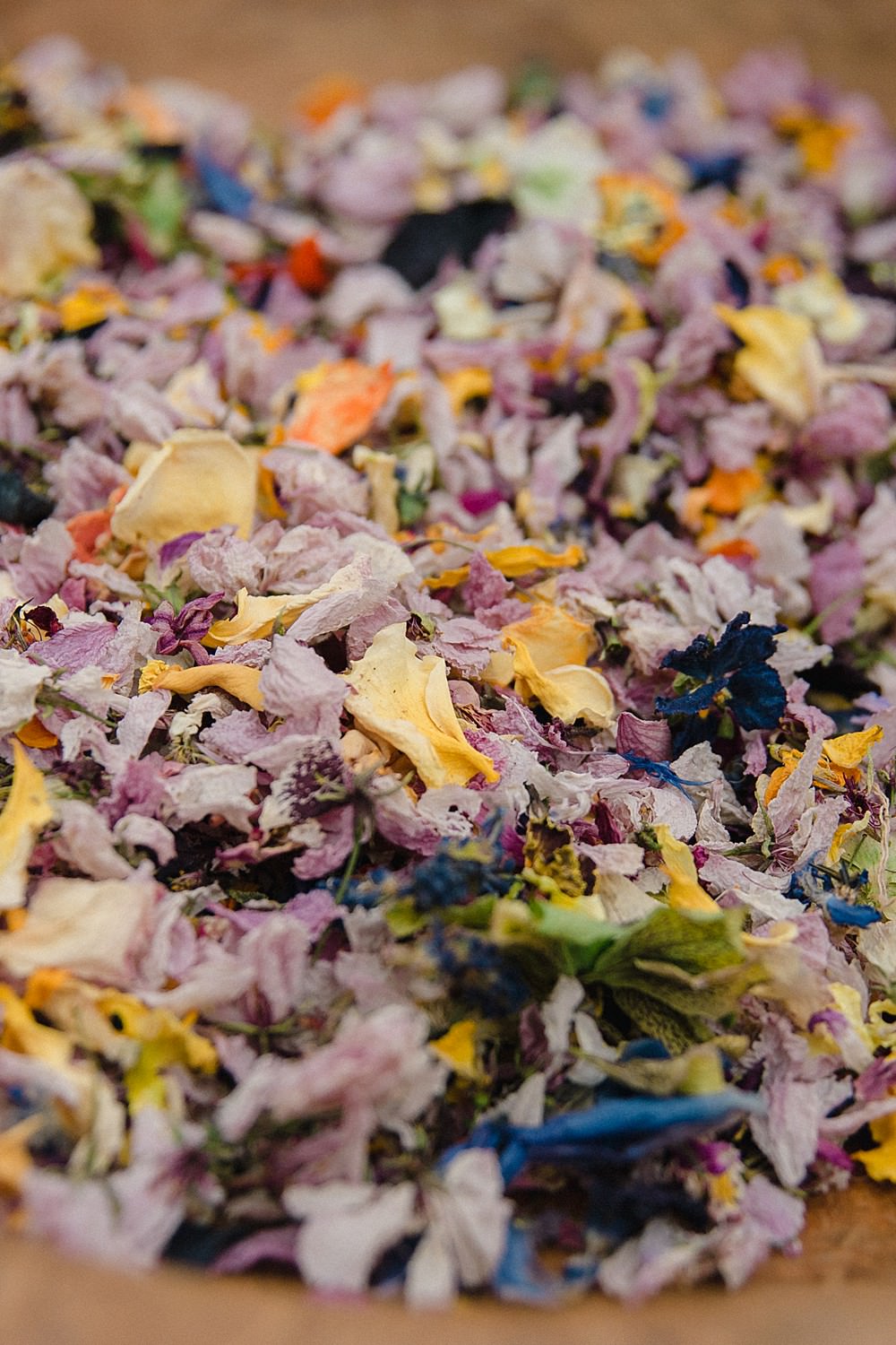 Petal Confetti Pet Wedding Ideas Vicky Plum Photography