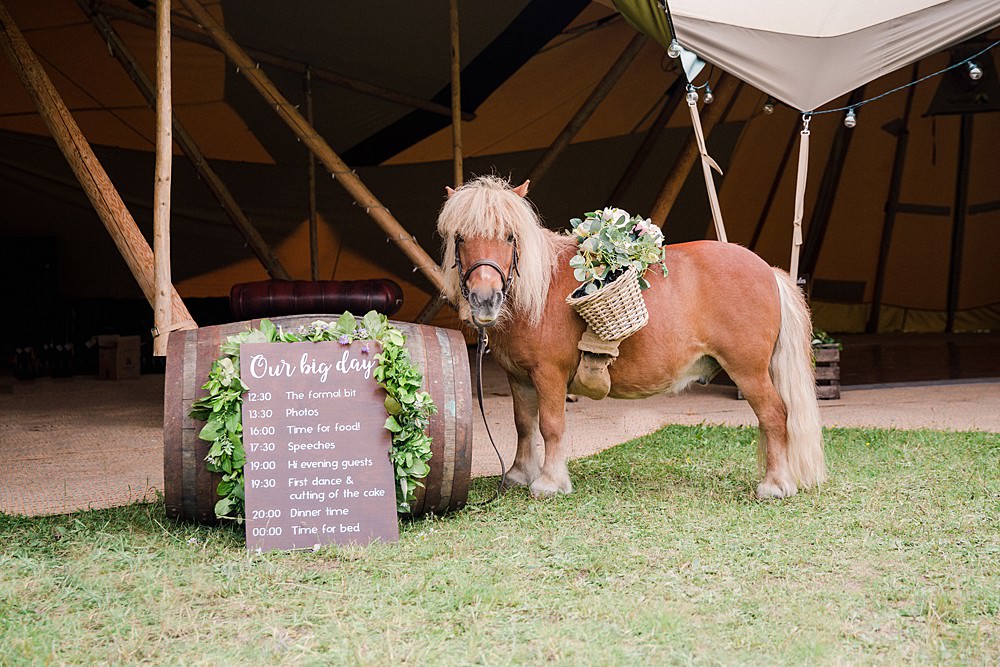 Shetland Pony Seating Plan Table Chart Pet Wedding Ideas Vicky Plum Photography