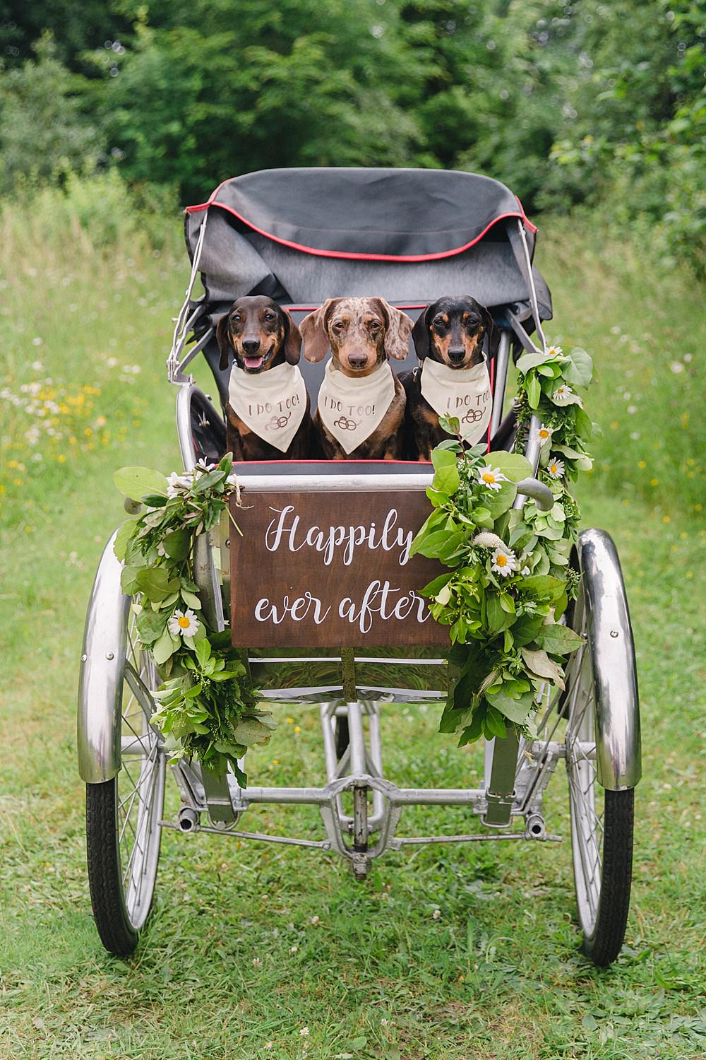 Bicycle Transport Rickshaw Pet Wedding Ideas Vicky Plum Photography