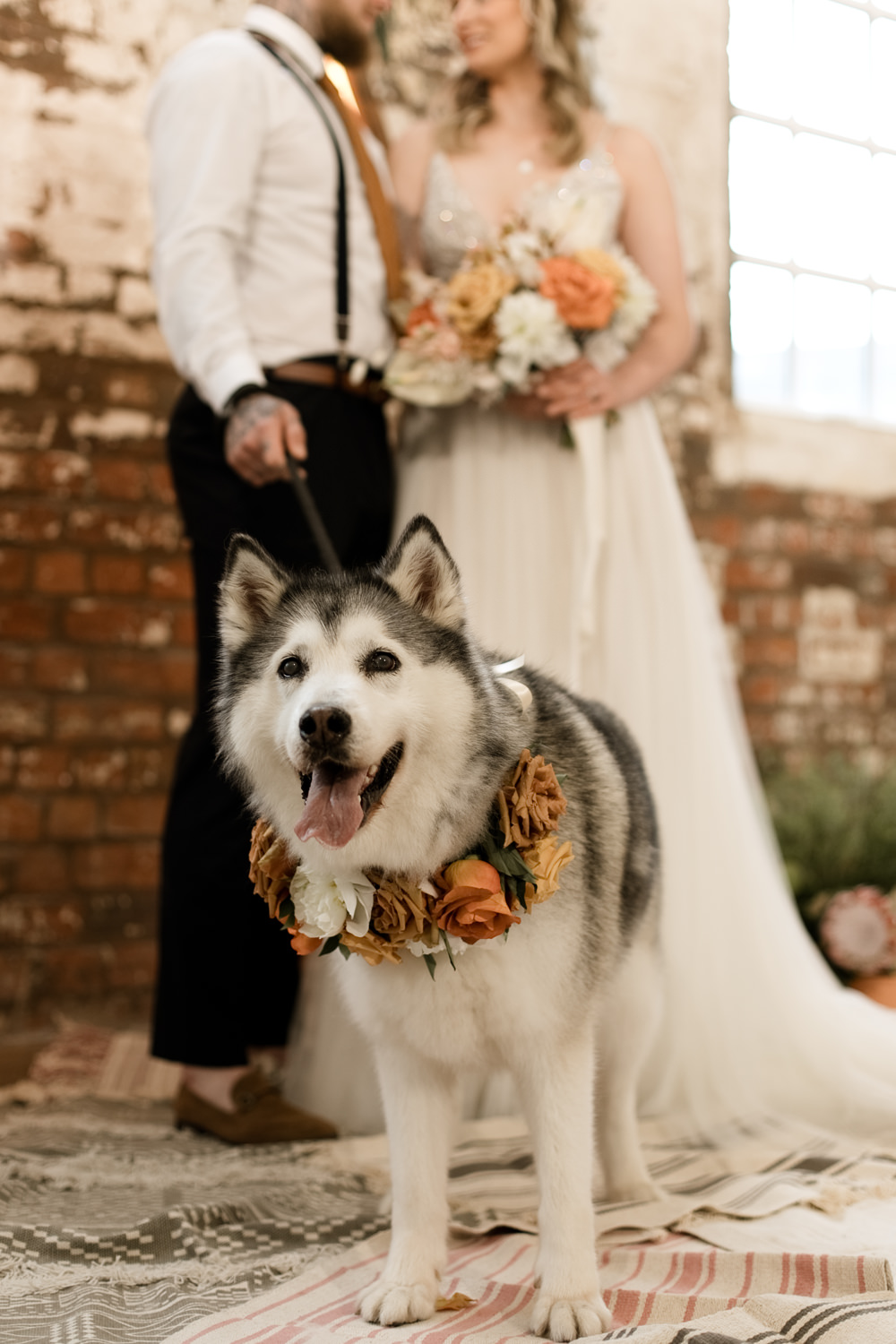 Dog Pet Flower Floral Collar Moroccan Wedding Ideas Emma Louise Photography