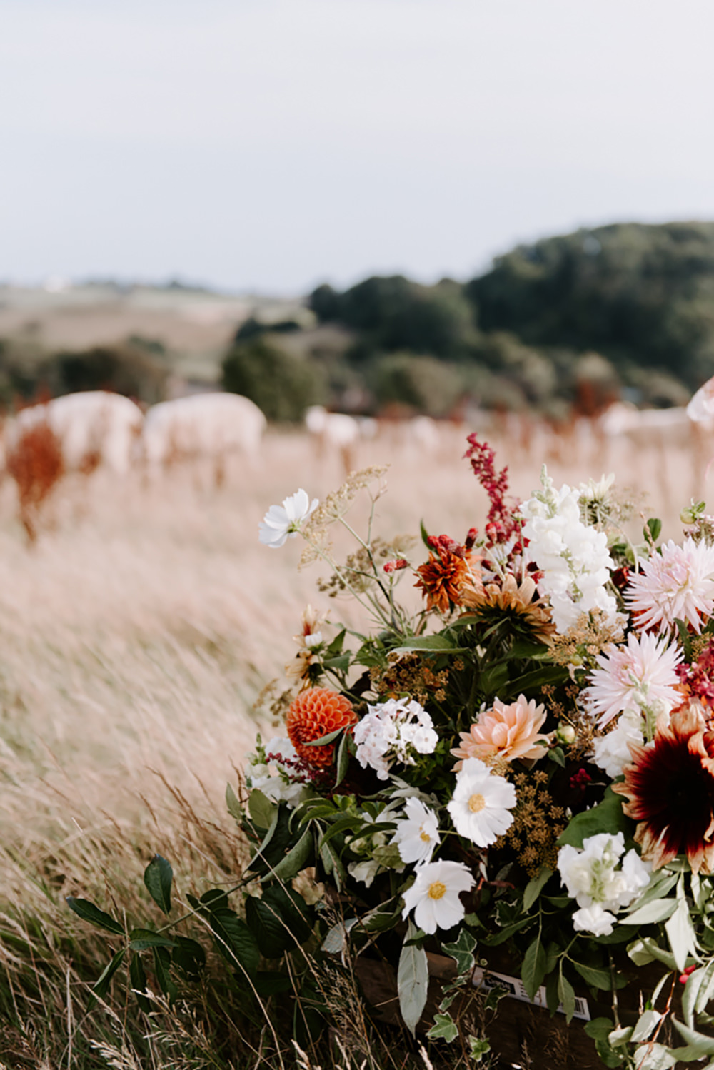 Flowers Flower Arrangement Fall Autumn Coral Pink Greenery Foliage Dahlia Ethical Wedding Ideas Sadie Osborne Photography