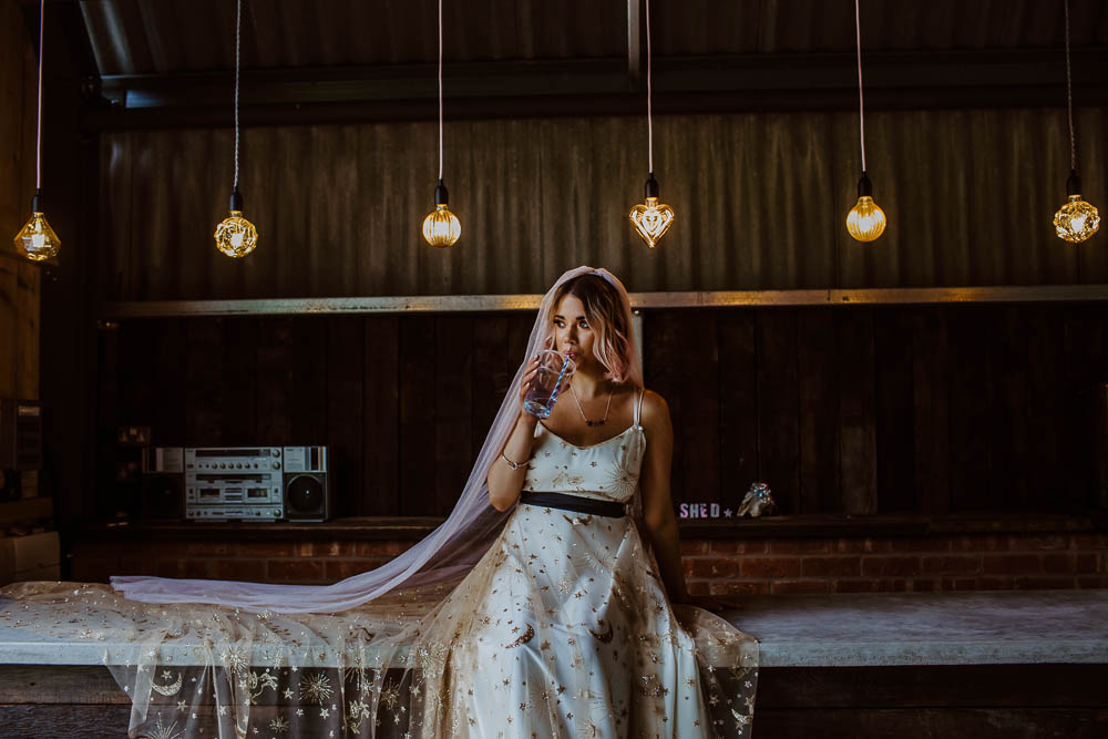 Bride Bridal Dress Gown Celestial Stars Moons Gold Veil Giraffe Shed Wedding When Charlie Met Hannah