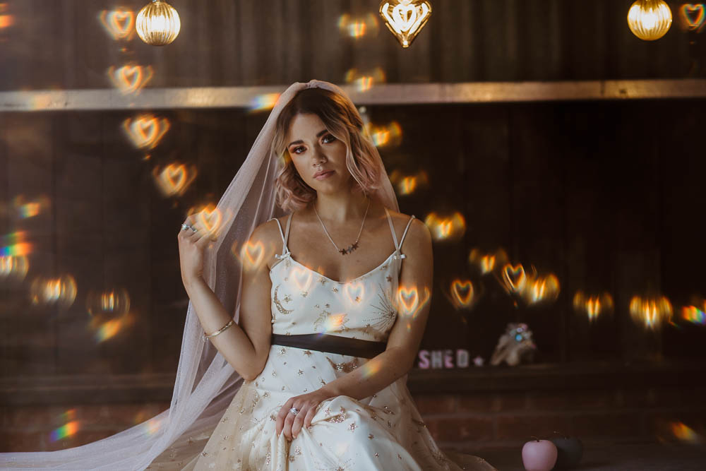 Bride Bridal Dress Gown Celestial Stars Moons Gold Veil Giraffe Shed Wedding When Charlie Met Hannah