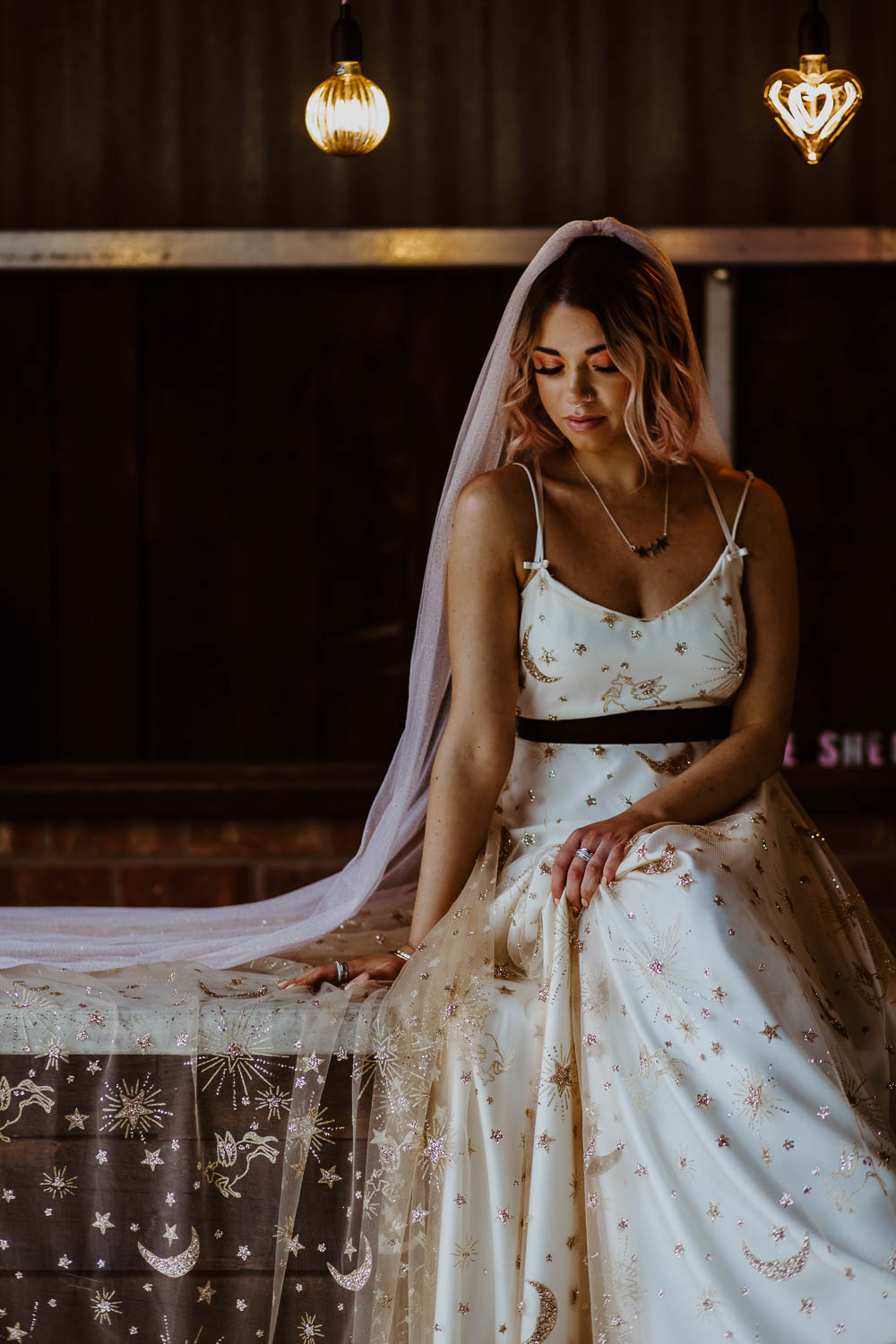 Bride Bridal Dress Gown Celestial Stars Moons Gold Veil Giraffe Shed Wedding When Charlie Met Hannah