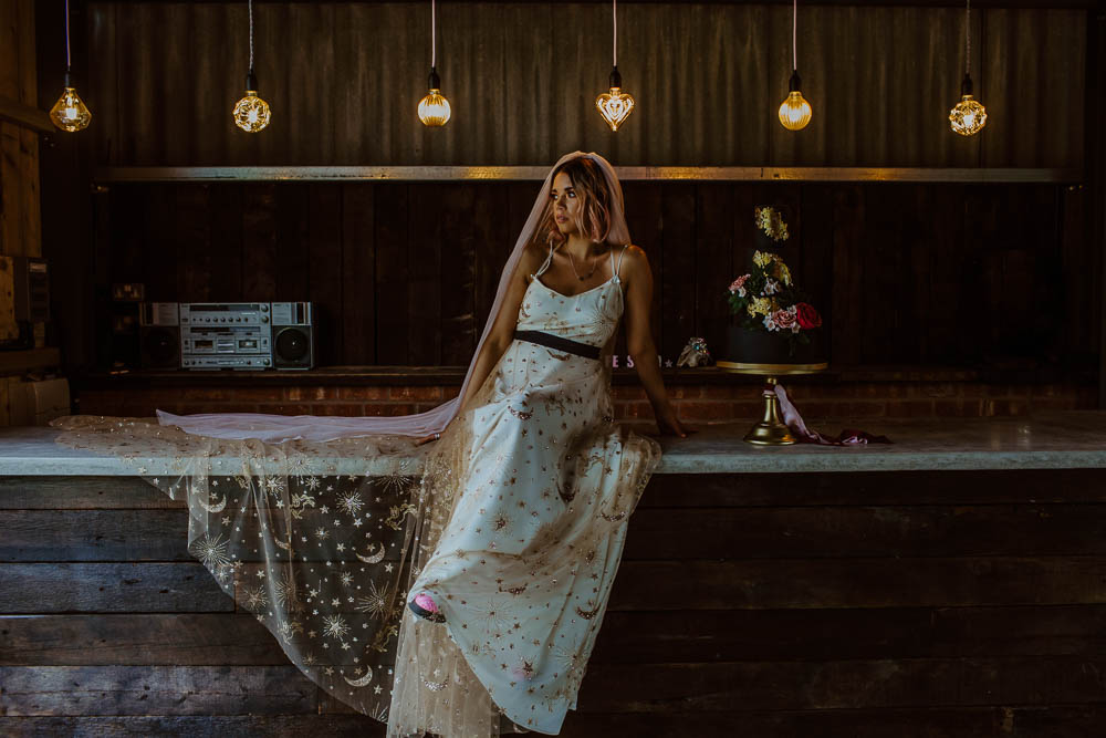 Bride Bridal Dress Gown Celestial Stars Moons Gold Veil Giraffe Shed Wedding When Charlie Met Hannah