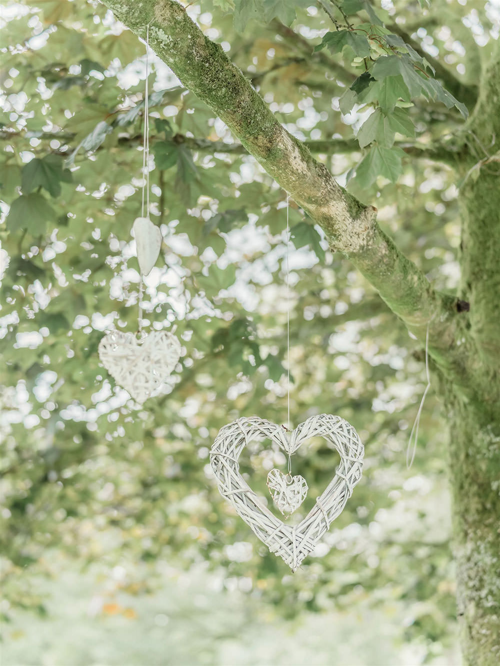 Wicker Heart Hanging Surprise Wedding Carn Patrick Photography