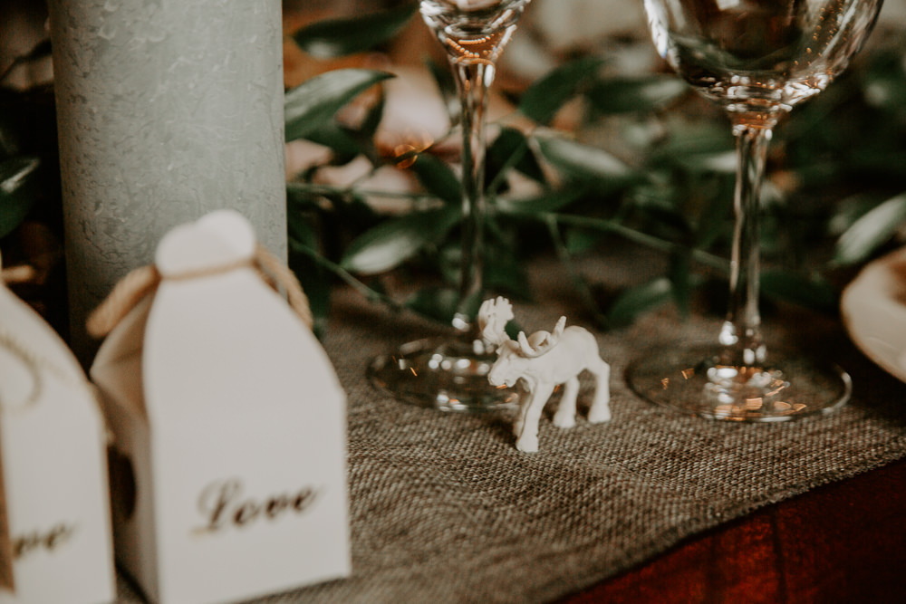 Moose Favour Willingale Village Hall Wedding Photographer Liam Gillan