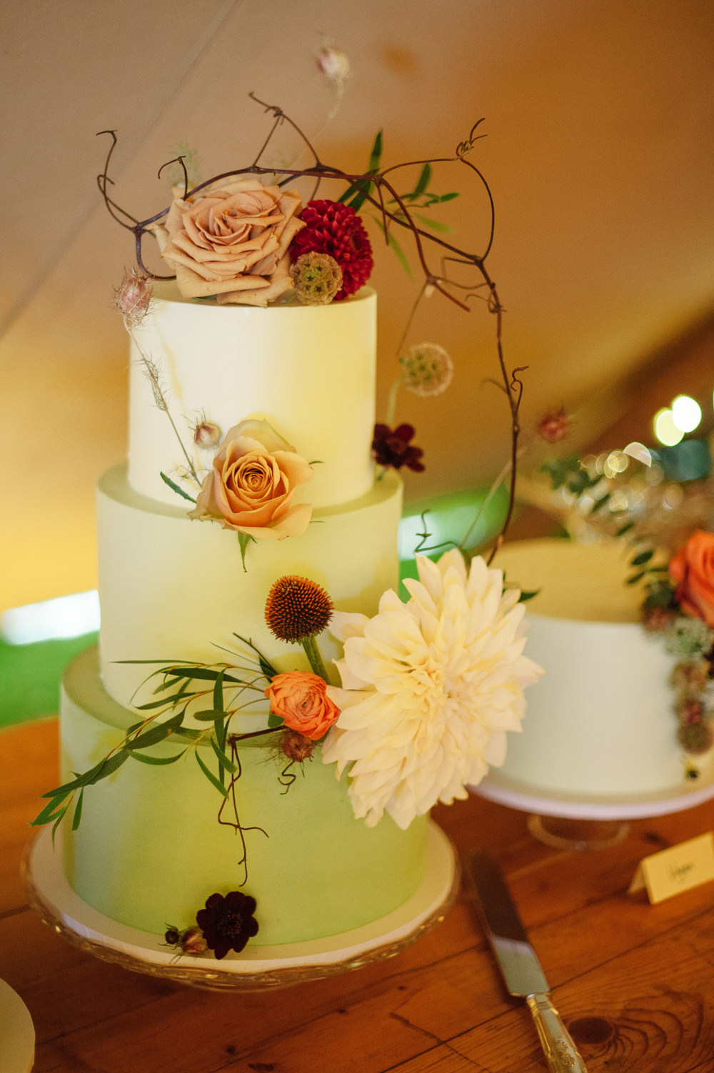 Cake Iced Mint Green Flowers Floral Rock Wedding Cornwall Robin Studios