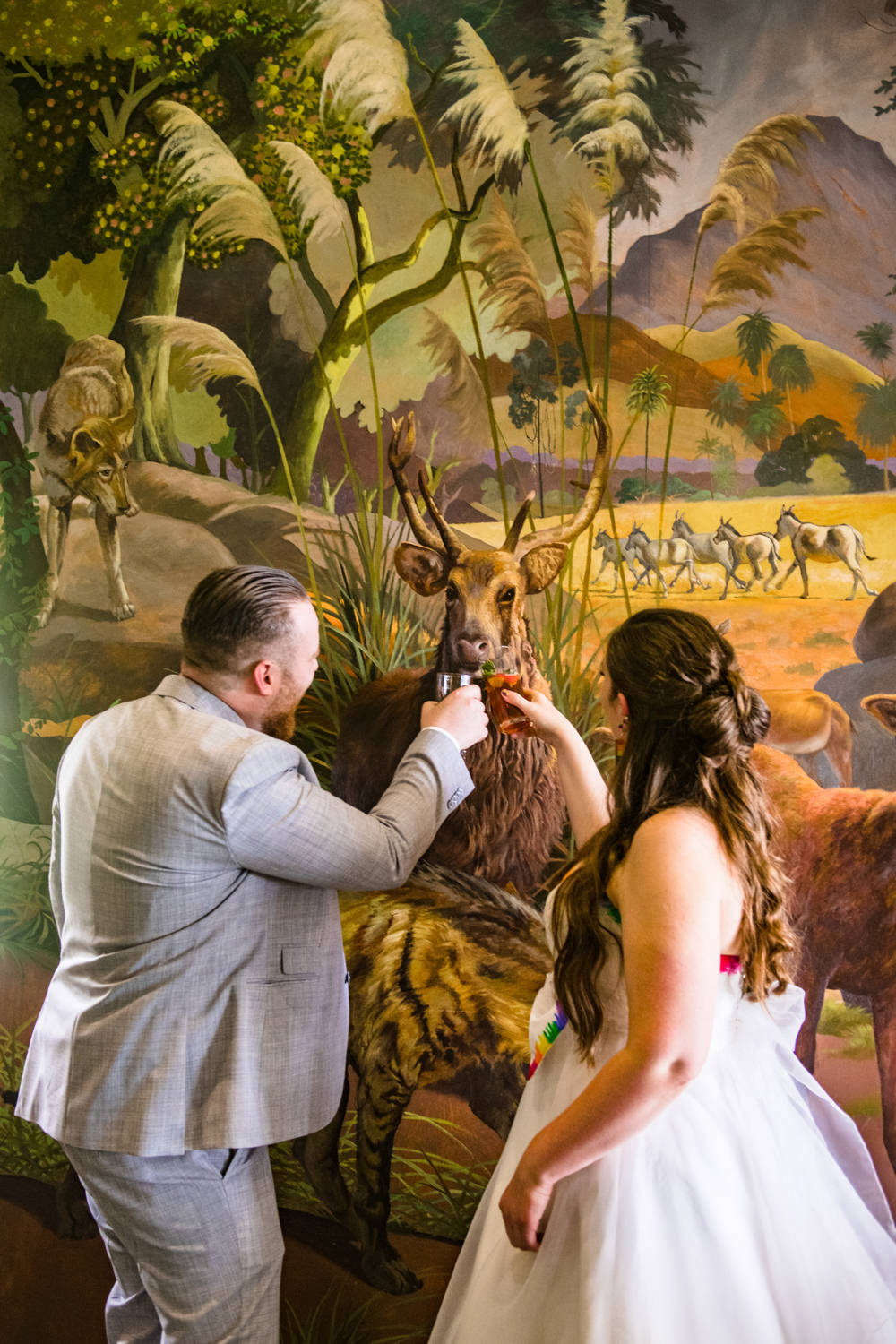 Safari Park Wedding Jonny Barratt Photography