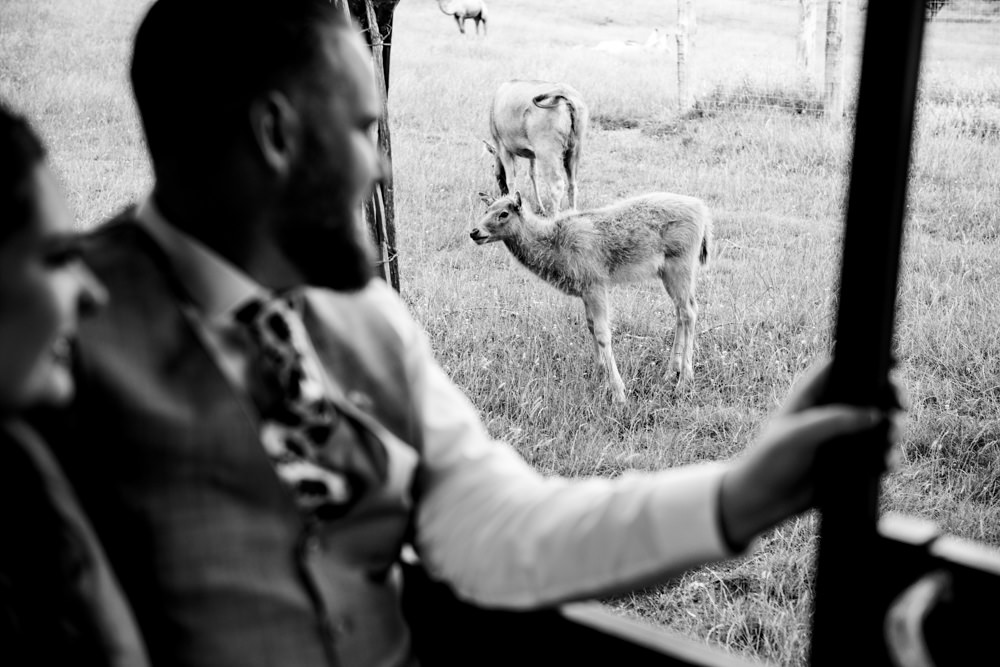 Safari Park Wedding Jonny Barratt Photography