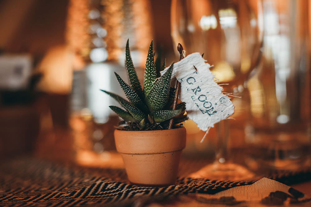 Pot Plants Succulent Favours Place Names Autumnal Rustic Wedding Mark Tattersall Photography