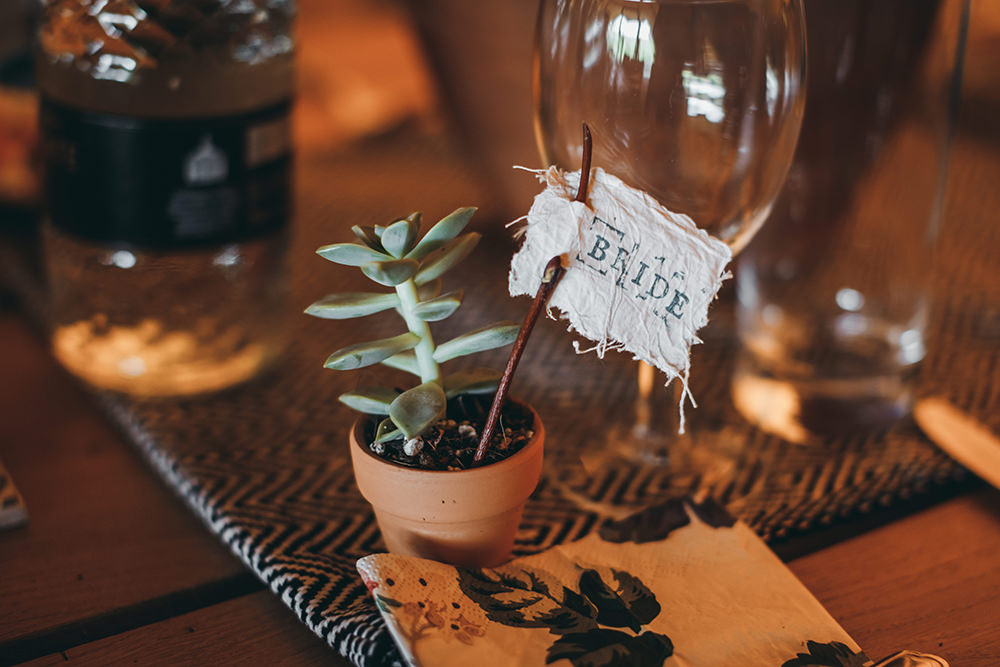 Pot Plants Succulent Favours Place Names Autumnal Rustic Wedding Mark Tattersall Photography