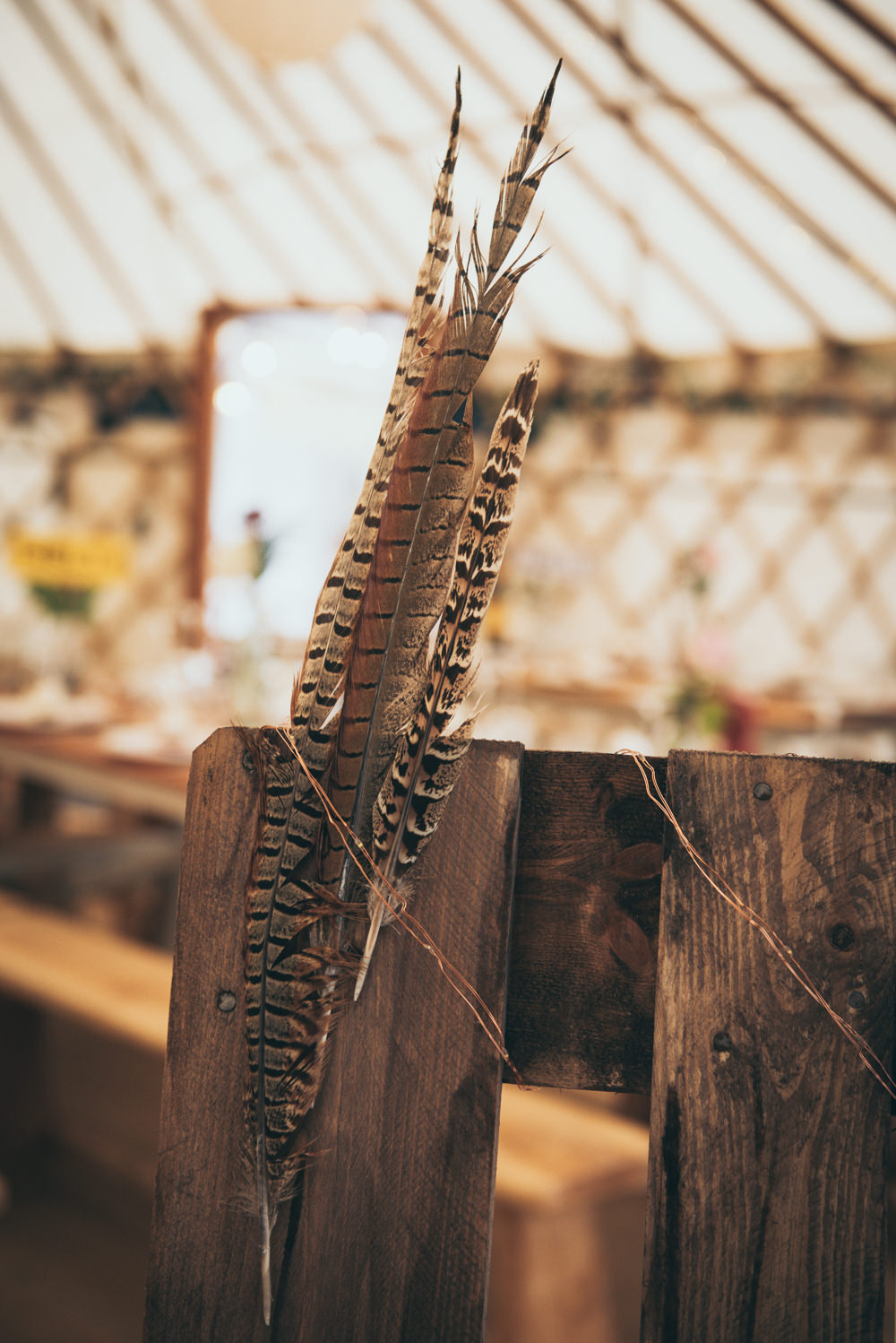 Feather Decor Fron Farm Yurt Retreat Wedding Cat Arwel Photography