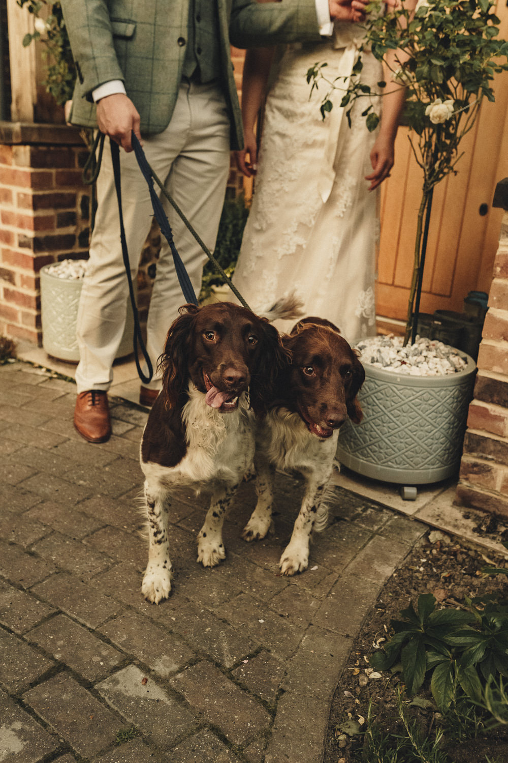 Marquee Wedding Home The Chamberlins