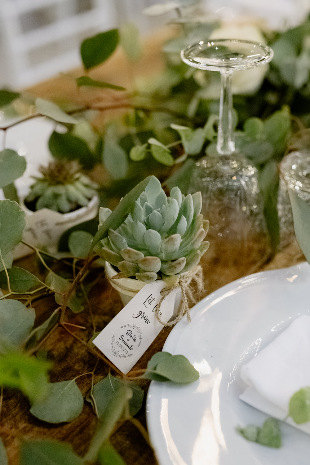 Succulent Favour Natural Italy Villa Wedding Flavia Eleonora Tullio