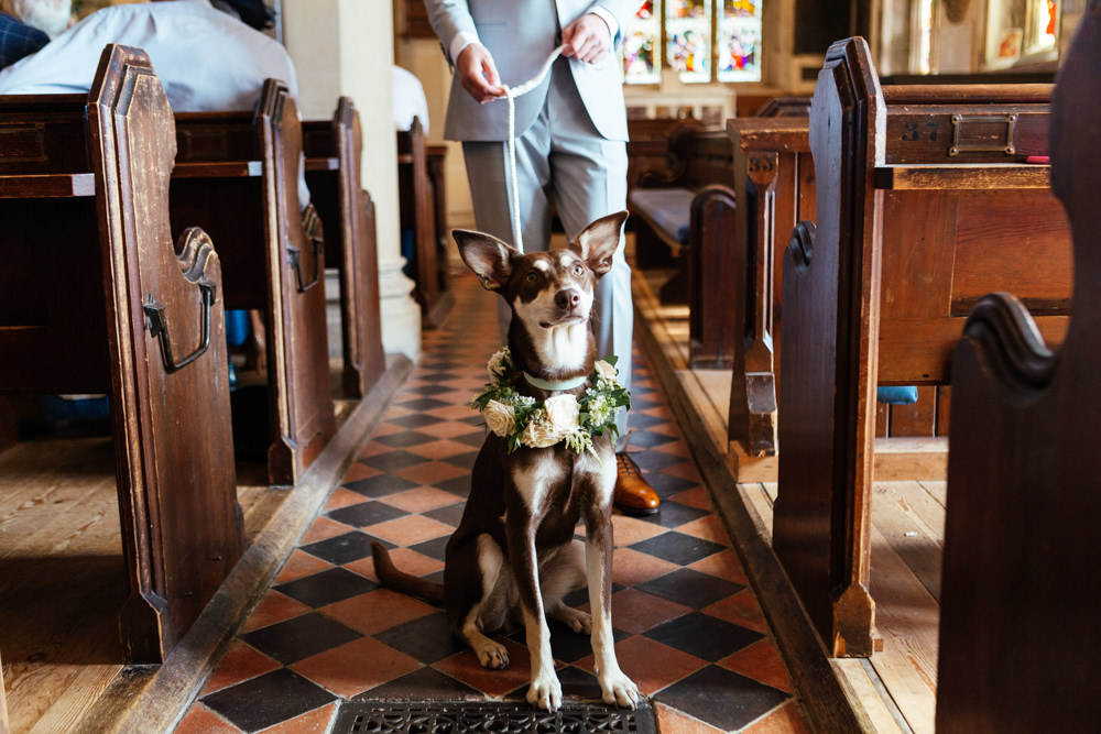 Dog Pet Flower Collar Oak Barn Wedding Matilda Delves Photography