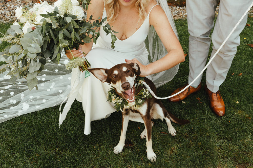 Dog Pet Flower Collar Oak Barn Wedding Matilda Delves Photography