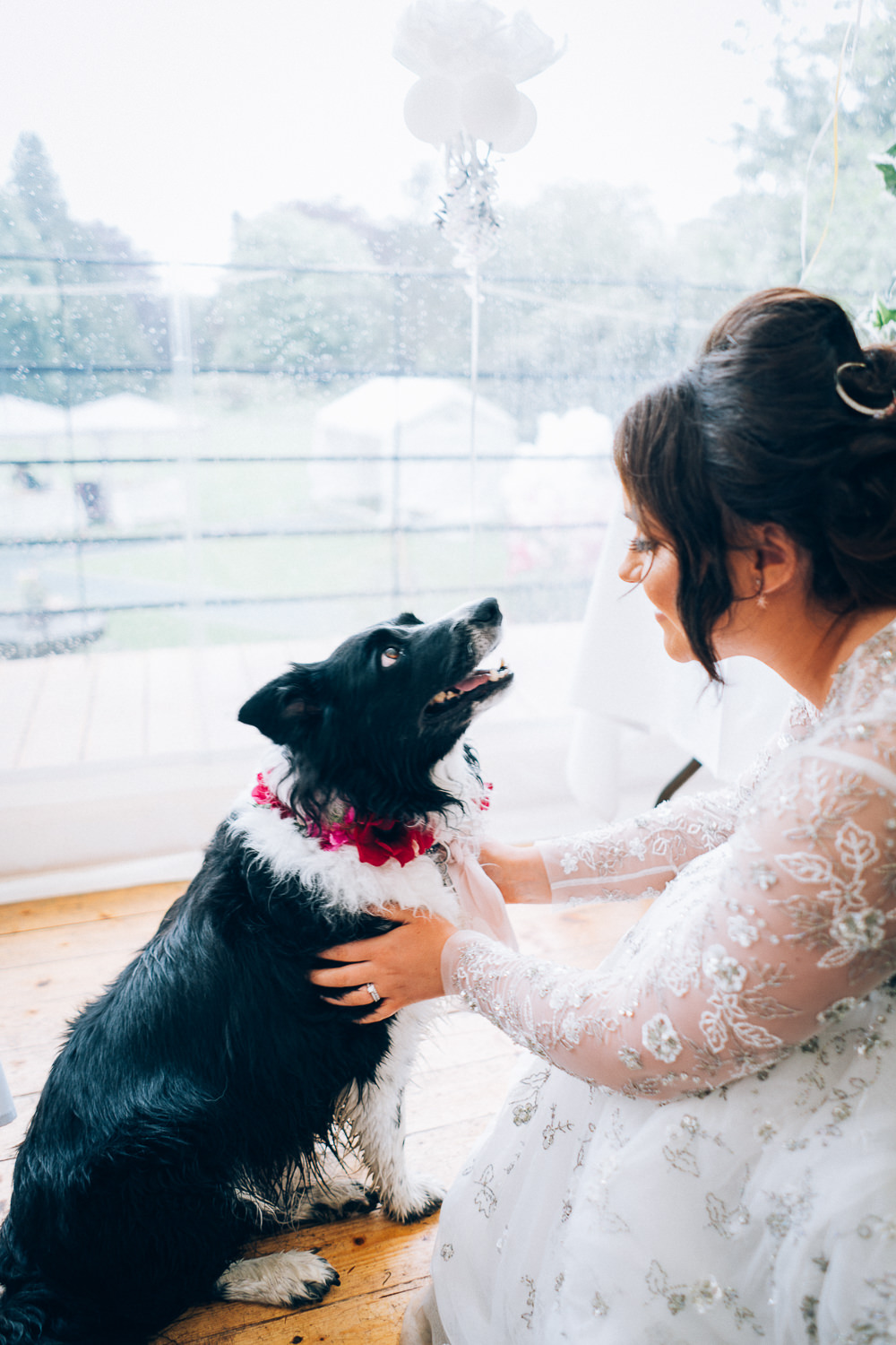 Dog Ring Bearer Tullibole Castle Wedding Casey Avenue Photography