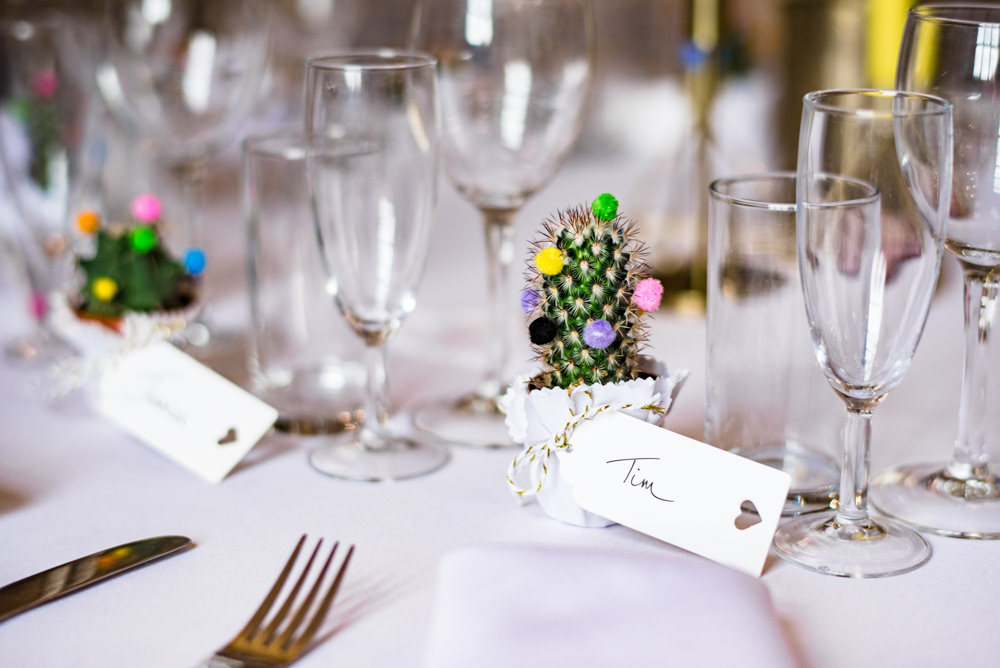 Cactus Favour Anstey Hall Wedding Jonny Barratt Photography