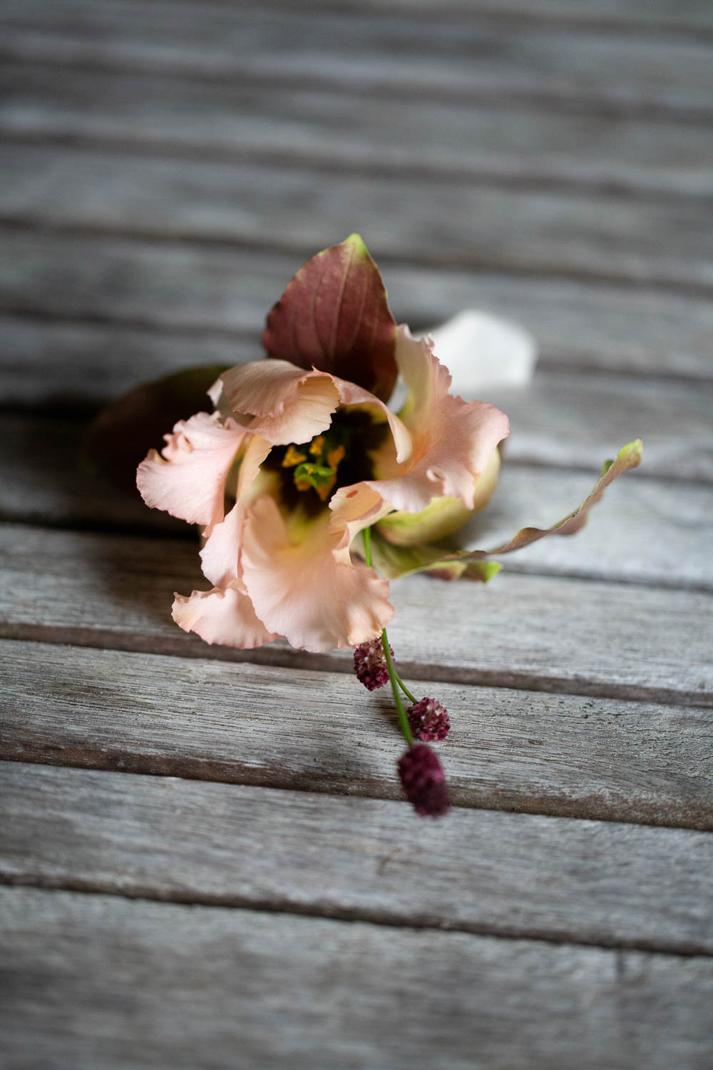 Groom Buttonhole Flowers Berry Château Elopement France Maru Photography