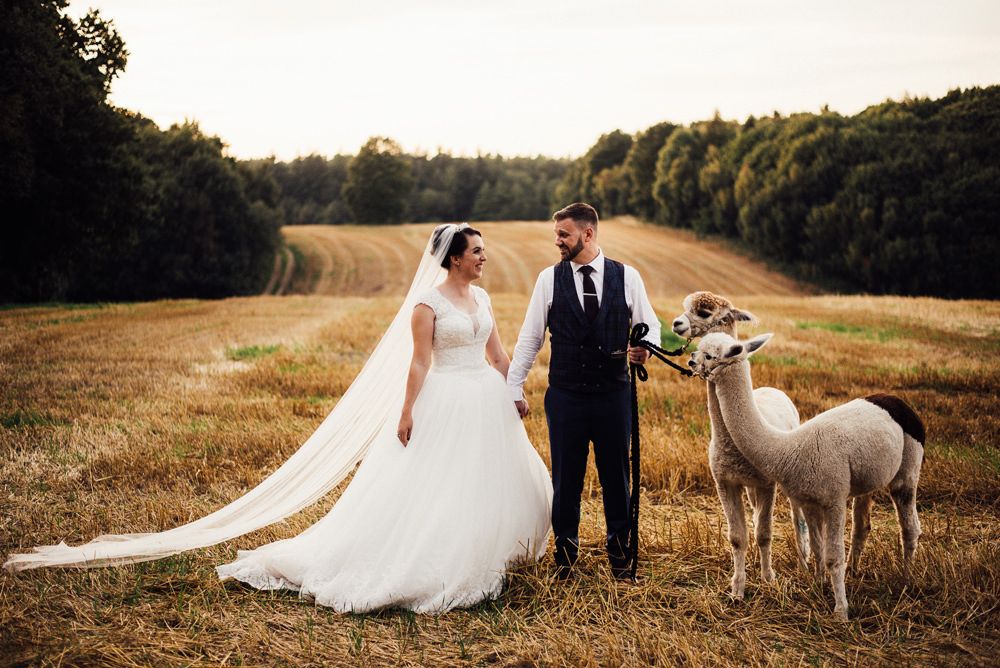 Alpacas Longton Wood Wedding Alex Tenters Photography