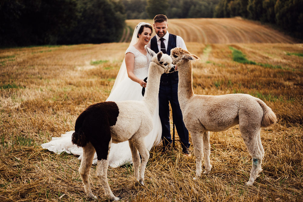 Alpacas Longton Wood Wedding Alex Tenters Photography