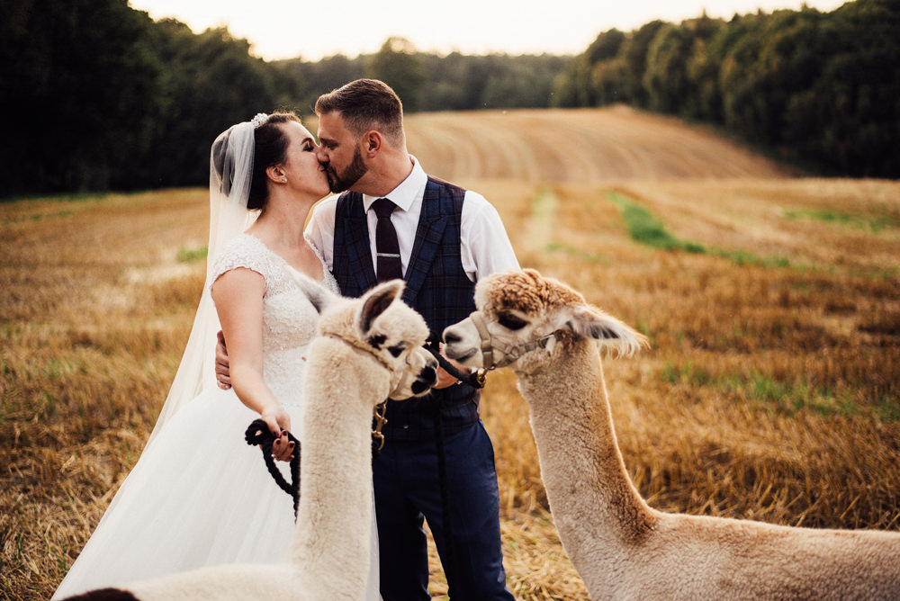 Alpacas Longton Wood Wedding Alex Tenters Photography