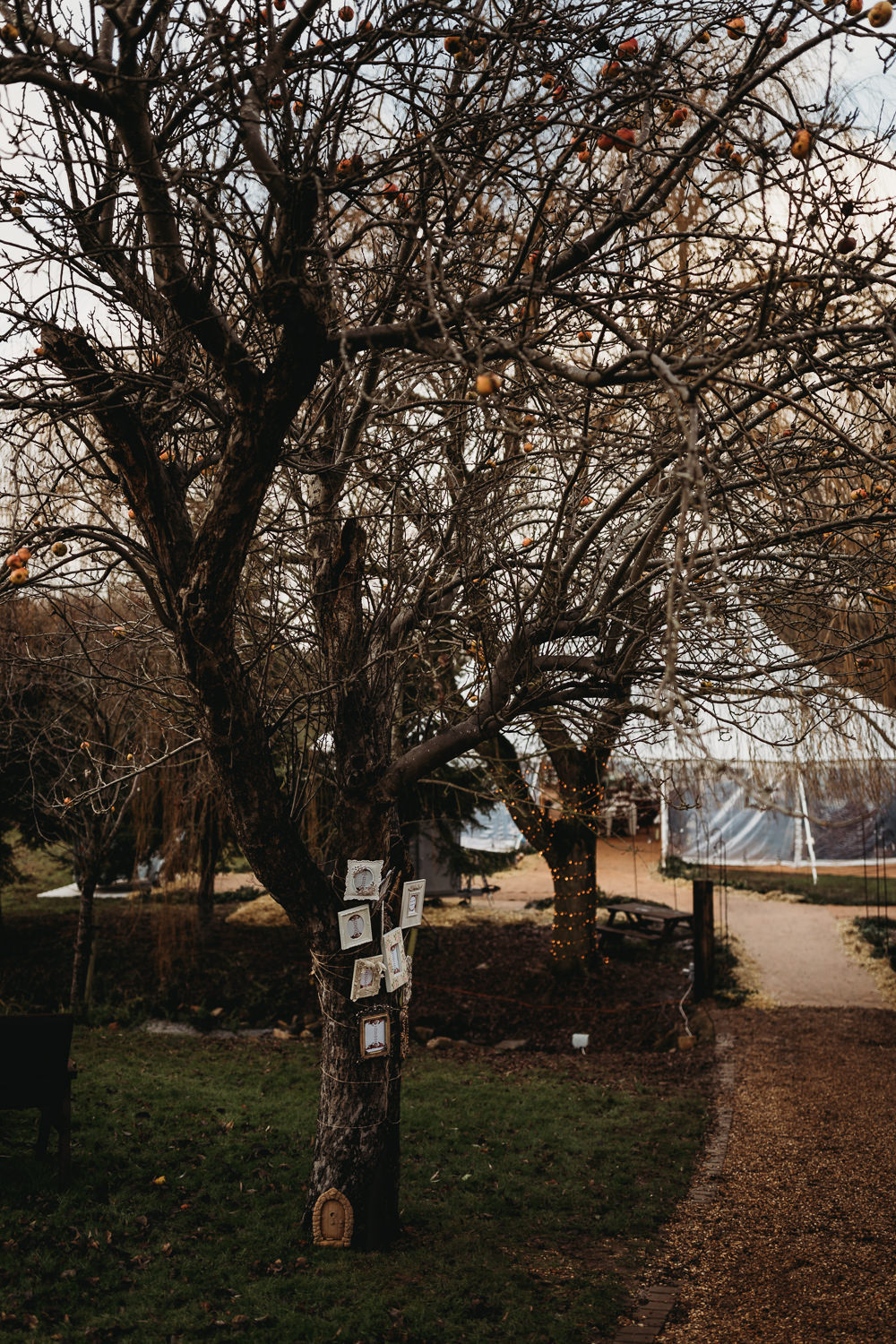 Christmas Marquee Wedding Thyme Lane Photography