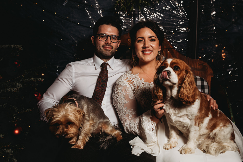 Pet Dogs Christmas Marquee Wedding Thyme Lane Photography
