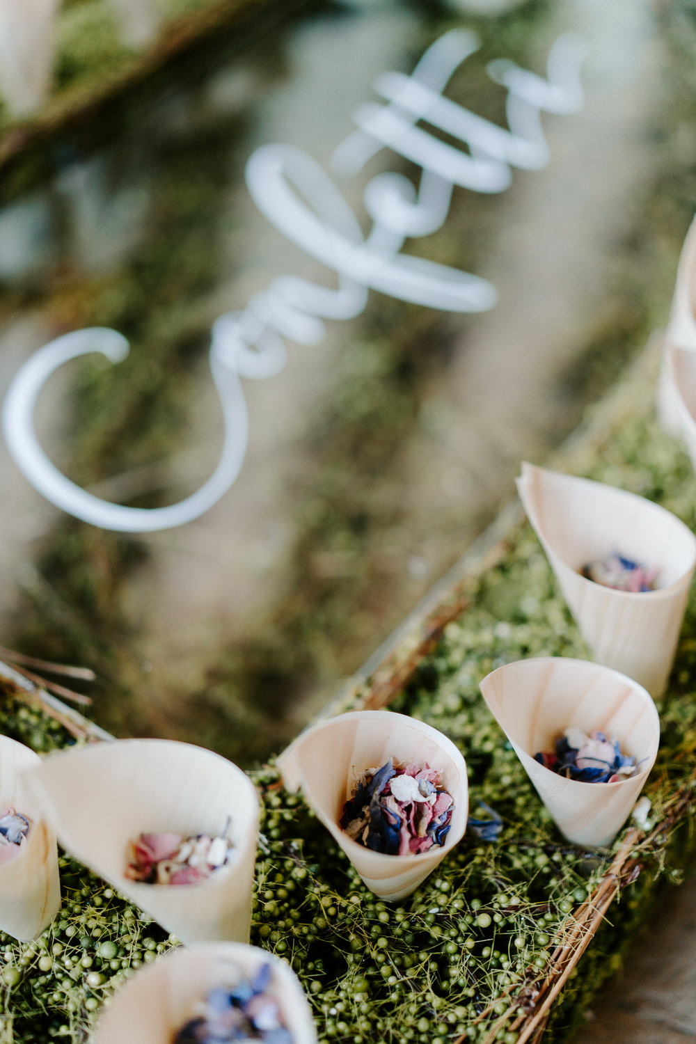 Confetti Cones Contemporary Wedding Ideas Chloe Ely Photography