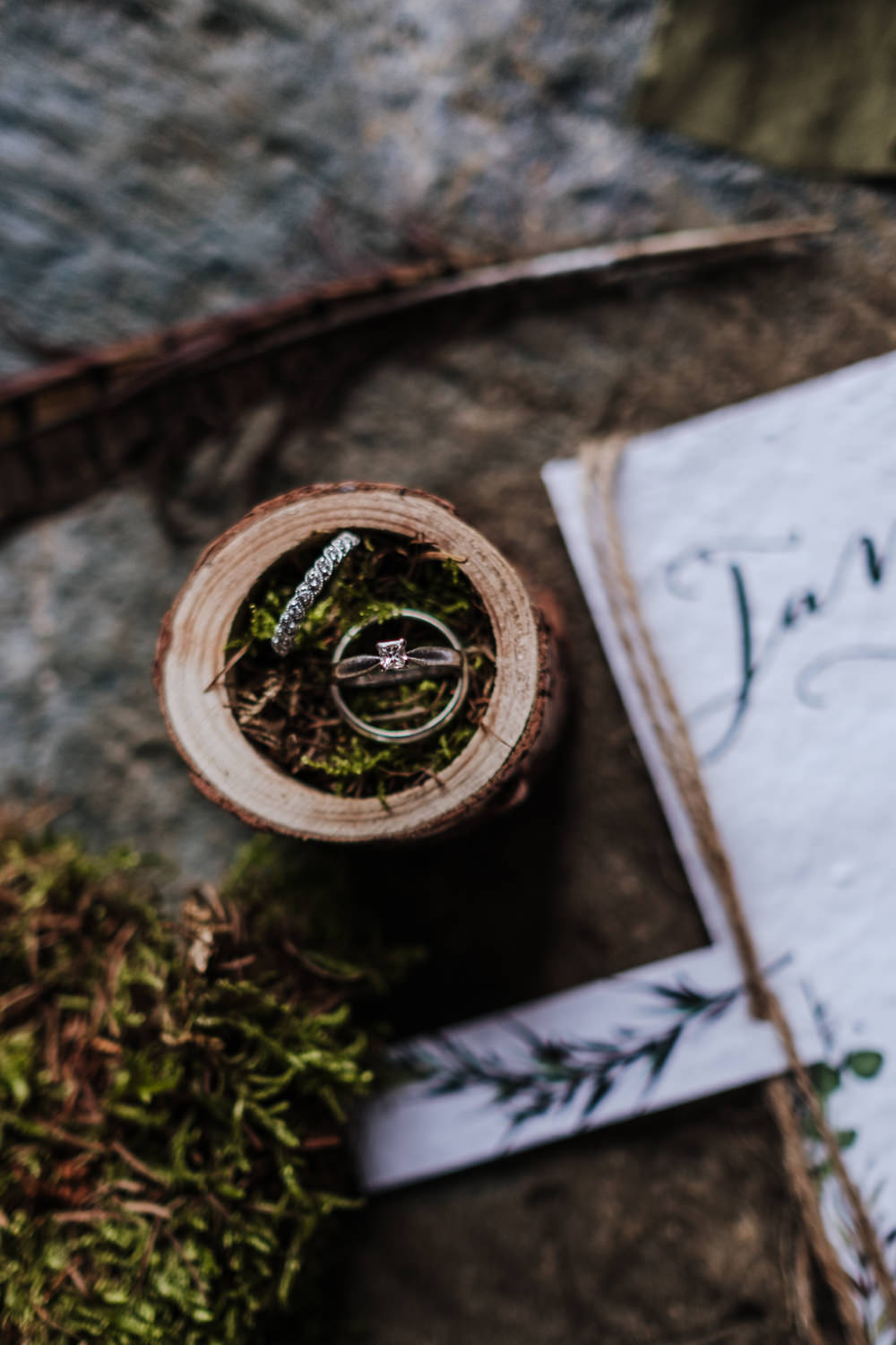 Rings Bands Box Moss Ethical Wedding Ideas Jenna Kathleen Photographer