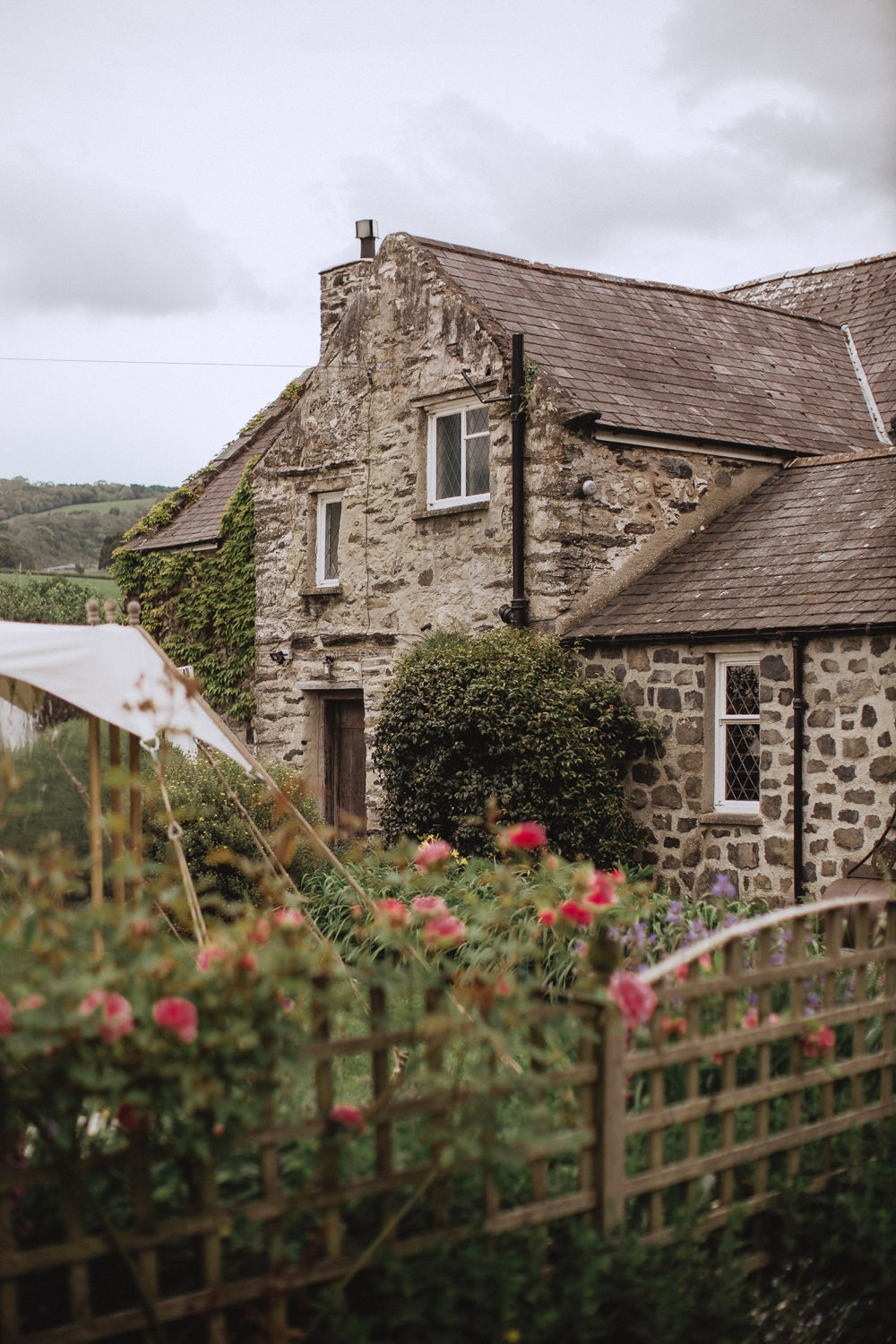 Natural Marquee Wedding Fox & Bear Photography