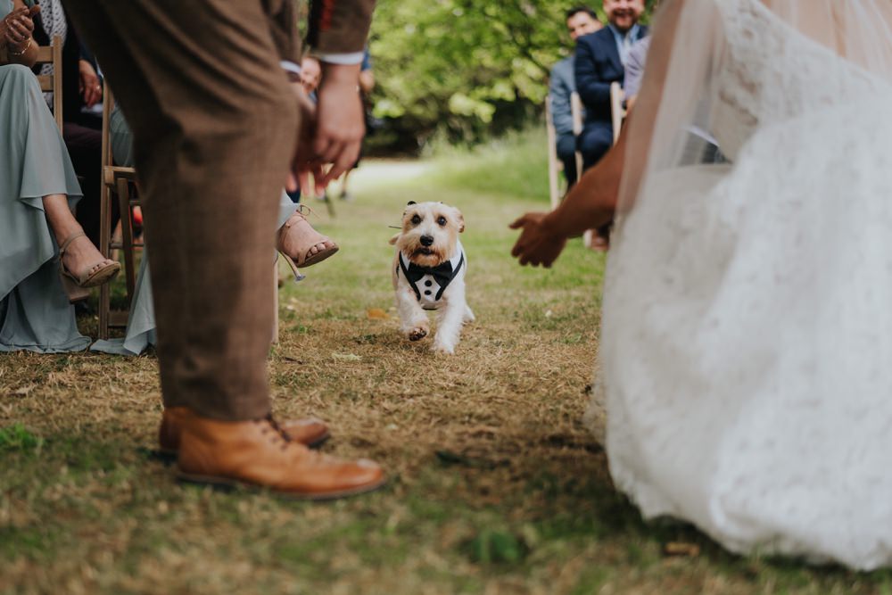 Animal Lovers Wedding Bloom Weddings