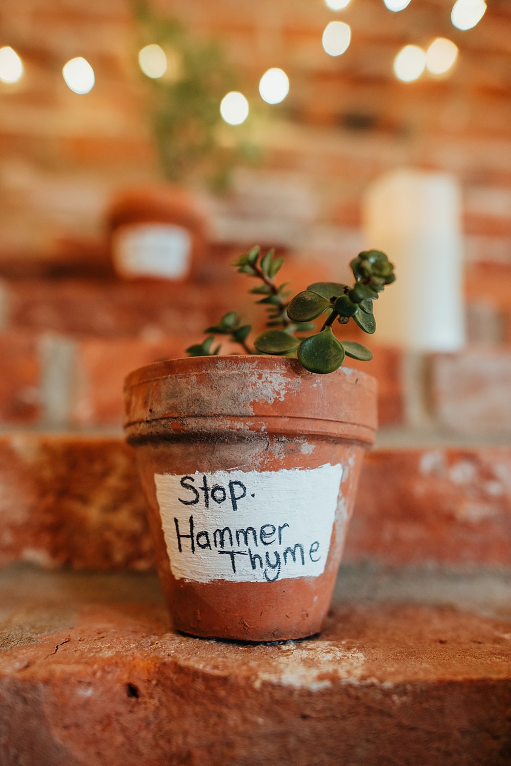 Potted Plant Herb Boho Rustic Wedding This and That Photography