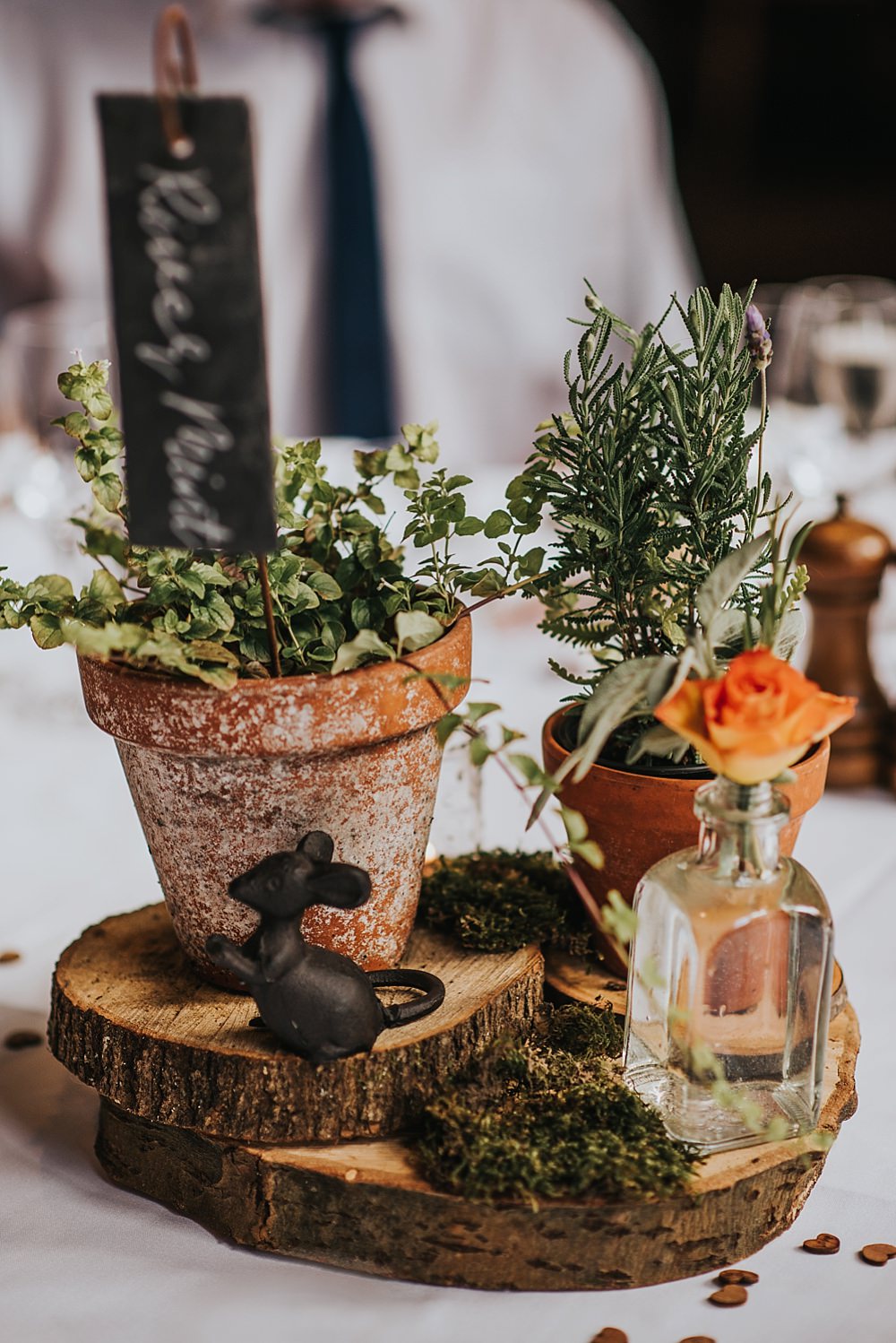 Centrepiece Table Decor Decoration Pot Plants Herbs Boho Rustic Wedding This and That Photography