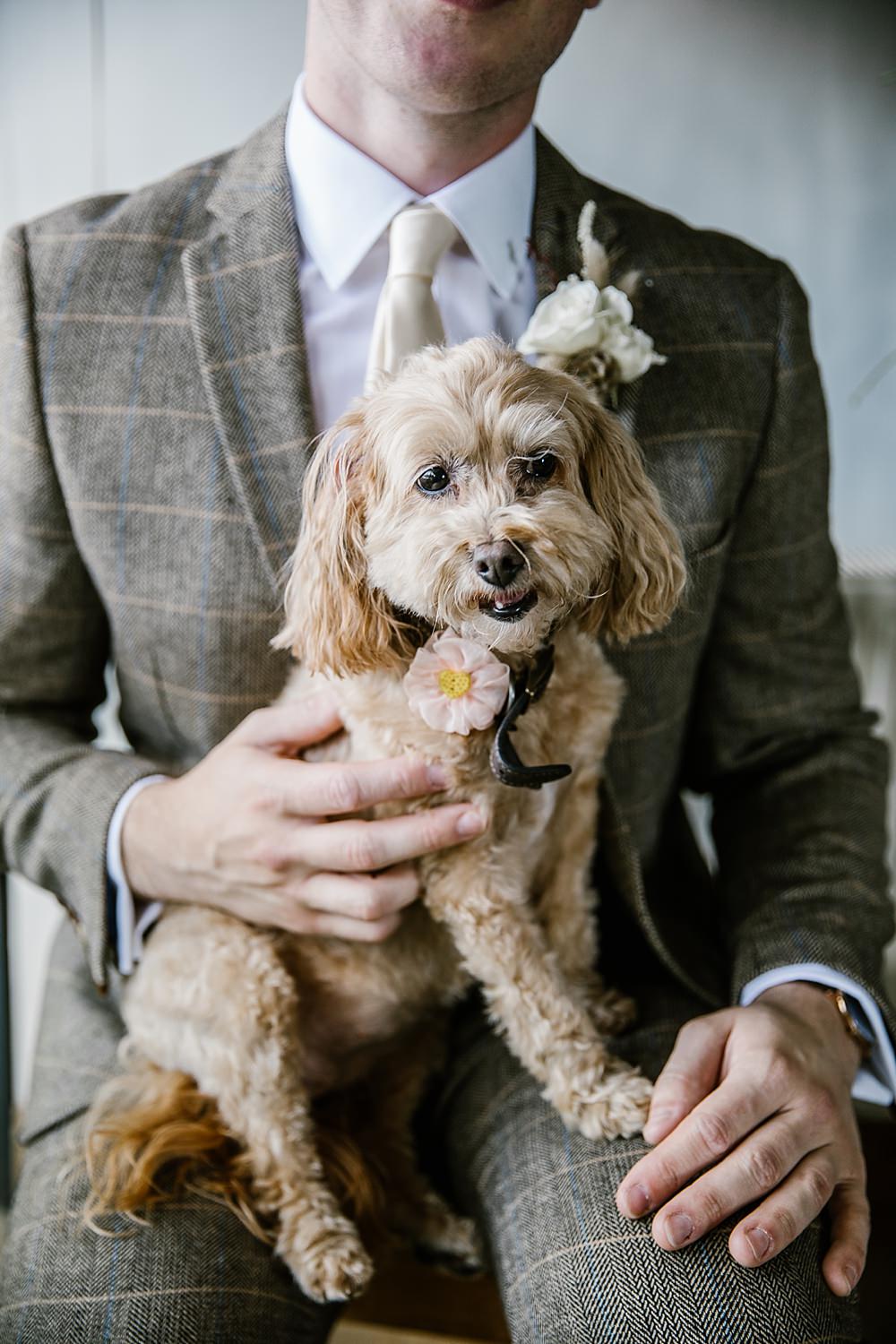 Dog Pet Chaucer Barn Wedding Katherine Ashdown Photography