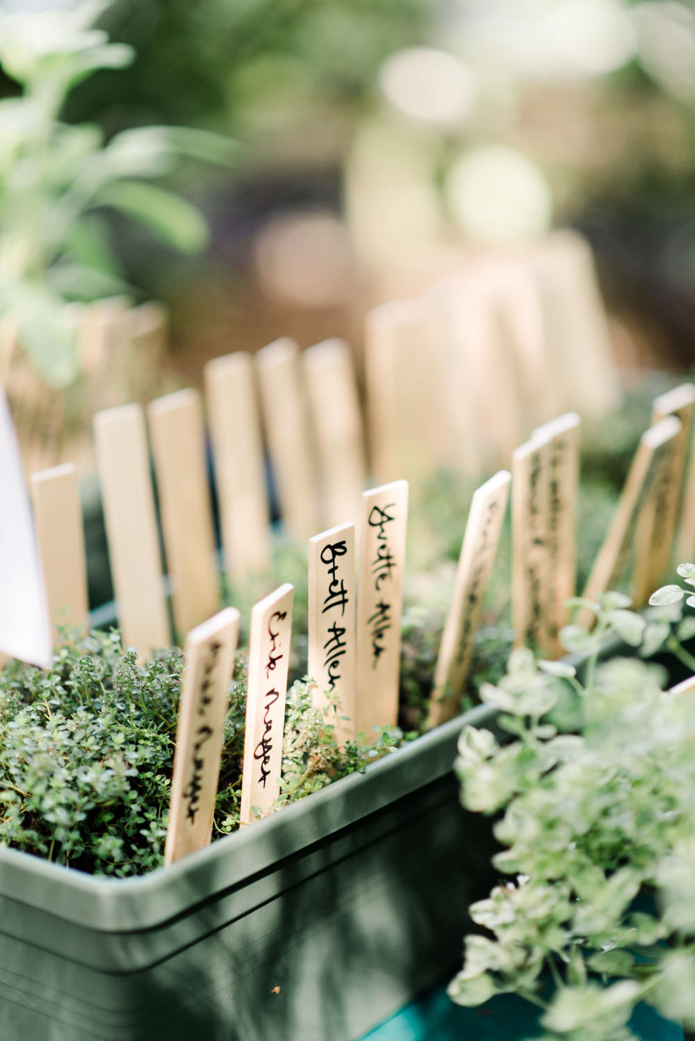 Seating Plan Table Chart Sticks Plant Perch Inn Wedding Captured By Katrina