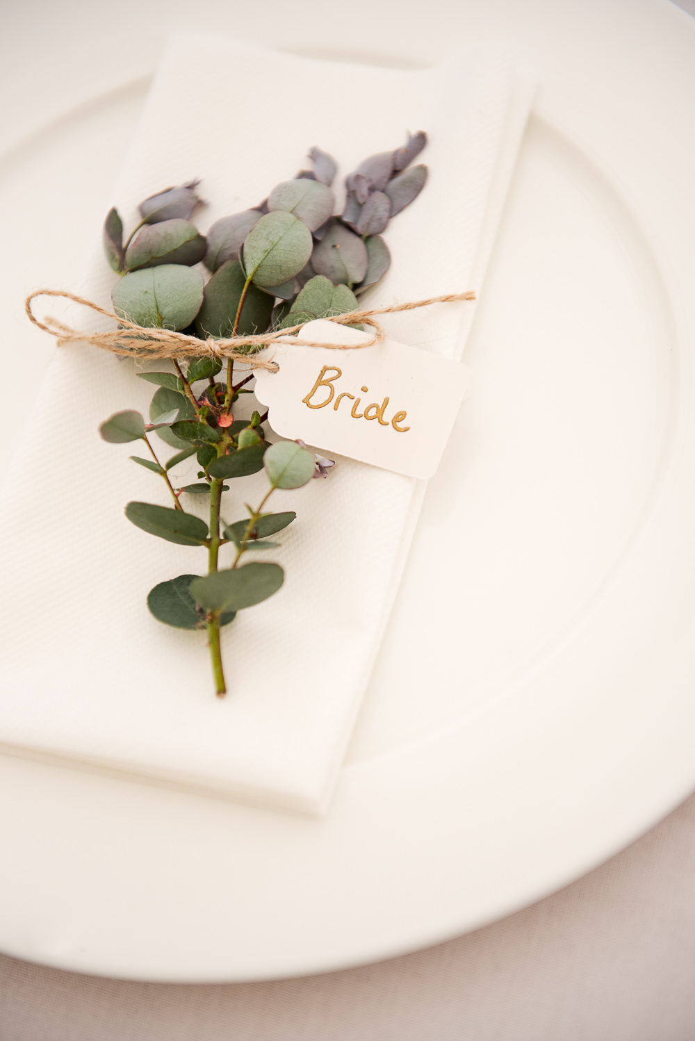 Place Setting Decor Luggage Tag Place Name Eucalyptus Sopley Lake Wedding One Thousand Words