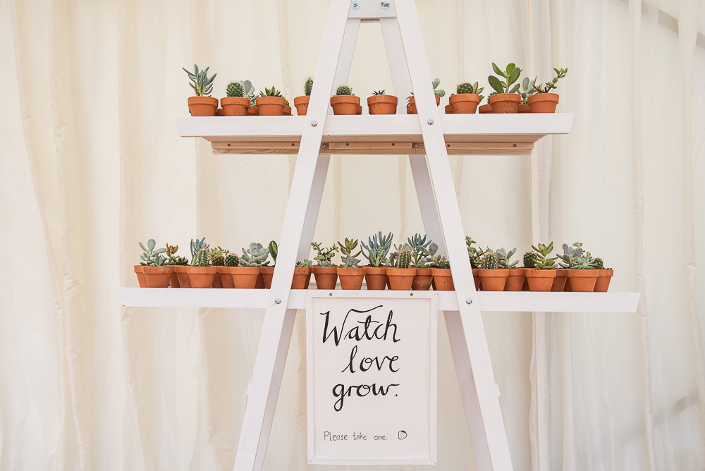 Succulent Favours Sopley Lake Wedding One Thousand Words