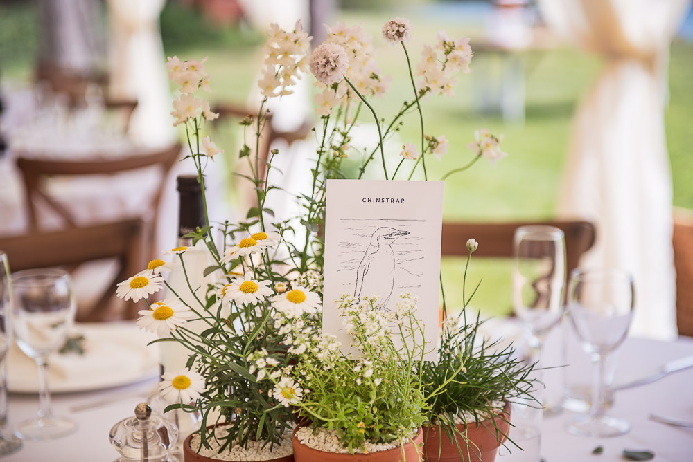 Centrepiece Flowers Pot Plants Decor Sopley Lake Wedding One Thousand Words