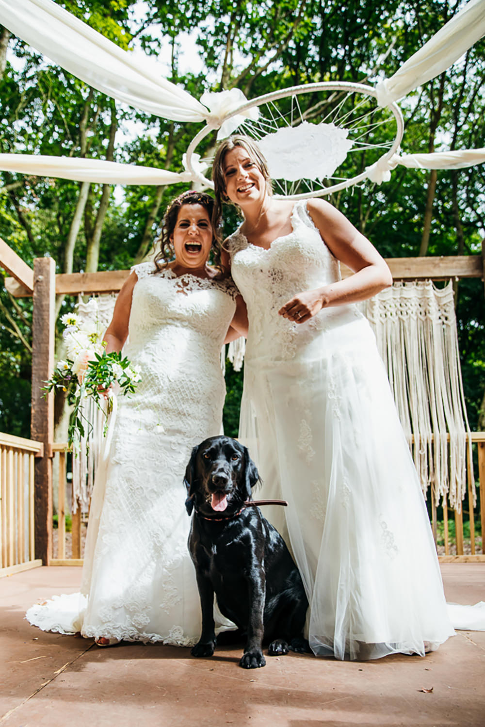 Dog Pet Lila’s Wood Wedding Two-D Photography