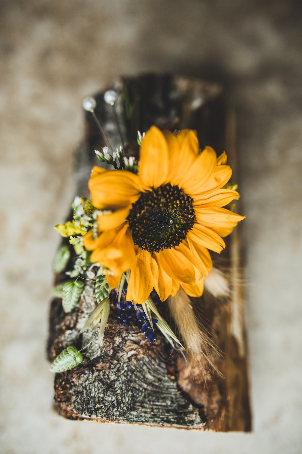Sunflower Buttonhole Flowers Burley Manor Wedding Becky Bailey Photographer