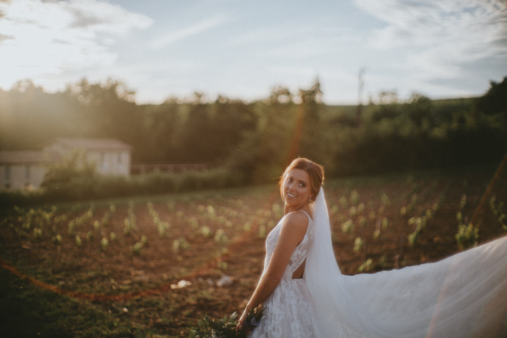 Fleur de Lis Blush by Hayley Paige Dress Gown Bride Bridal Lace Straps Veil Chateau Lagorce Wedding Flawless Photography